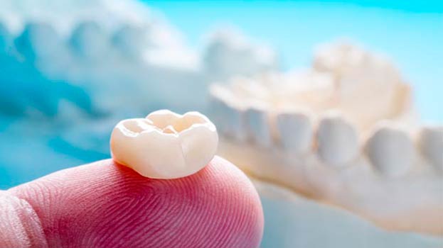 Close up view of white molar teeth